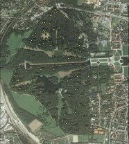 Satellitenaufnahme von Schloss Nymphenburg mit dem angrenzenden Waldgebiet