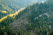 Wald am Berg mit Sturmwurf