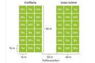 Schematische Darstellung der Versuchsflächen