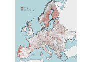 Karte von Europa, Land weiß, Meer blau, gestörte Waldflächen rot; viel rot in Skandinavien, Spanien und Portugal