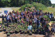 Eine Gruppe Kinder steht neben vielen Jungpflanzen