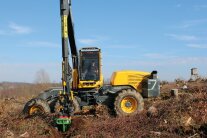 DAs Foto zeigt einen Starkholzharvester, ein gelbes Gefährt mit einem Schwarzen Schwenkarm. Dieser bohrt ein Loch in die Erde.