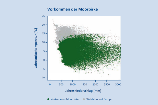 Vorkommen der Moorbirke nach Jahresniederschlag und Jahresmitteltemperatur