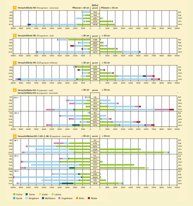 Balkendiagramme zeigen die Entwicklung der Sturmflächen zwischen 1991 und 2020