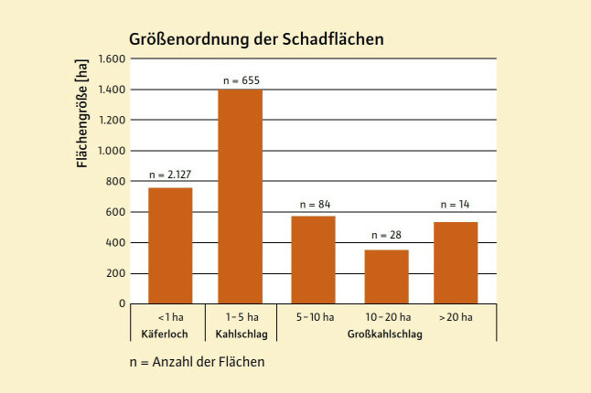 Säulendiagramm zeigt Schadflächen