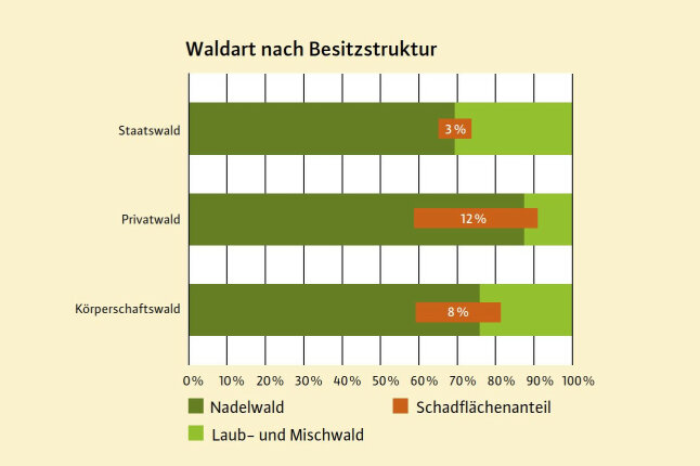 Säulendiagramm zeigt Schadflächen unterteilt nach Besitzarten