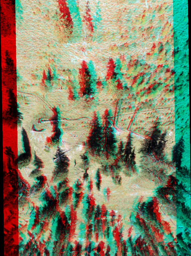 Rot-grünes Stereoluftbild eines lichten Bergwaldes