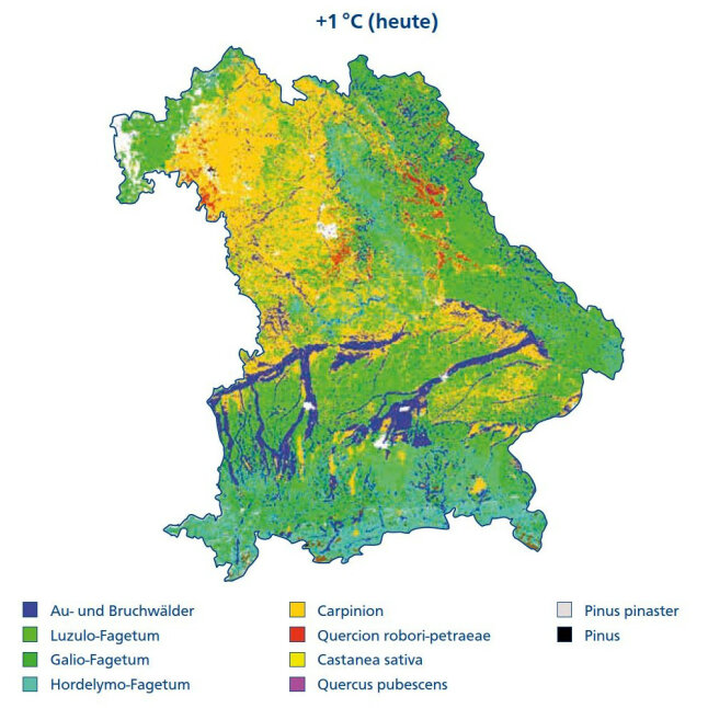 Bayernkarte mit modellierten potenziell natürlichen Waldgesellschaften 1971 bis 2000