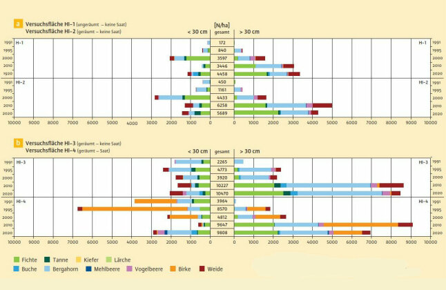 Balkendiagramme zeigen die Entwicklung der Sturmflächen zwischen 1991 und 2020