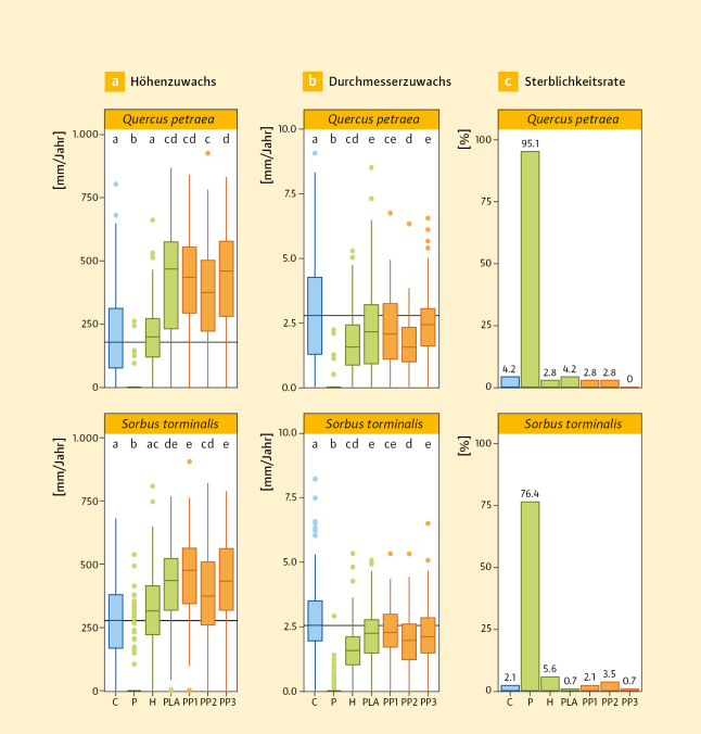 Die Grafiken zeigen das Wuchsverhalten der Traubeneiche und Elsbeere in sechs verschiedenen Wuchshüllentypen verglichen mit der Kontrolle (C).