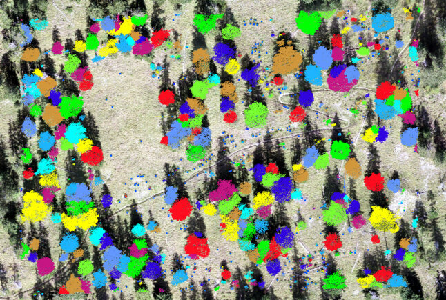 Luftbild eines Waldes mit bunten Einfärbungen der Baumkronen