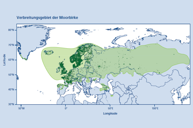 Karte mit dem Verbeitungsgebiet der Moorbirke