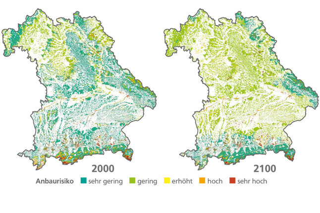 Bayernkarte mit Anbaurisiko der Buche heute und im Jahr 2100 in Abstufungen von grün bis rot