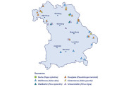 Die Lage der Versuchsflächen ist in einer Bayernkarte eingezeichnet. Es gibt eine Versuchsfläche für Buche in Nordostbayern,  10 Versuchsflächen für Weißtanne (in Süd- und Ostbayern), 2 Flächen für Waldkiefer in Mittelfranken, 12 Flächen für Douglasie (Ostbayern, Unterfranken), 3 Flächen für Küstentanne (2 in Ostbayern, eine in Unterfranken) und 5 Flächen für Schwarzkiefer (Niederbayern und Mittelfranken).