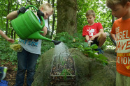 Drei Jungs sind im Wald und gießen einen kleinen Waldgarten, den sie in einem Korb gepflanzt haben.