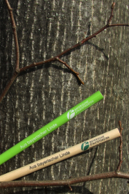 Ein grüner und ein holzfarbener Bleistift liegen auf einem Stammabschnitt. Um die Stifte herum liegt ein Zweig auf dem Stamm.