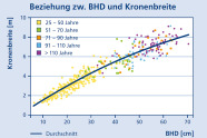 Diagramm Beziehung zwischen BHD und Kronenbreite mit steigender Kurve