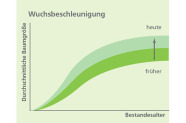 Schematische Darstellung: Das Wachstum von Bäumen ist heute höher als früher.