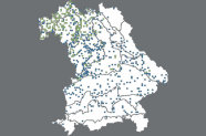 Darstellung der Auswahl von Inventurpunkten der BWI 2 mit Traubeneichen (grün) und Stieleichen (blau) in Bayern auf einer Bayernkarte. Traubeneichen kommen nur in Nord- und Mittelbayern bis zur Donau vor. Stieleichen sind in ganz Bayern verbreitet.