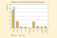 Säulendiagramm zur Verteilung des Vorrats und der Flächenanteile verschiedener Baumarten: Die Fichte nimmt die größten Vorrats- und Flächenanteile ein, gefolgt von Buche und Kiefer. 