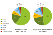 Tortendiagramme mit aktuellen und in 50 Jahren gewünschten Flächenanteilen in Wuchsgebiet 15 der BaySF. Fichte von 60% auf 48% reduzieren, dafür Buche, Edellaubholz, Tanne, Lärche, Kiefer und Sonstiges Laubholz um jeweils etwa 20% erhöhen