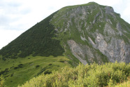 Im Vordergrund Grünerlen, im Hintergrund ein Latschenbestand am Steilhang.