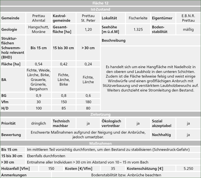 Tabelle mit Einträgen zu Fläche 12