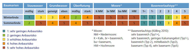 Einfluss besonderer Standortfaktoren auf das Anbaurisiko von Winterlinde und Sommerlinde. Weitere Informationen siehe Text.