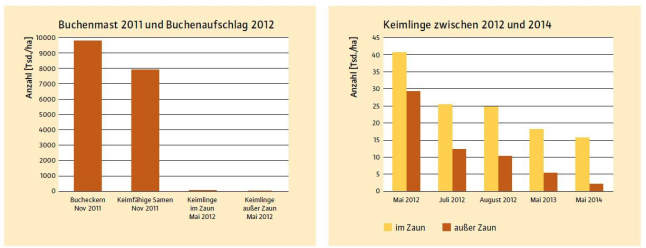 Zwei Balkendiagramme zu Keimlingen zwischen 2011 und 2014.