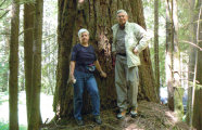 Dr. Monika Konnert und Dr. Wolf Ruetz vor einer Douglasie