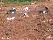 Man sieht eine mit braunen Nadeln, Ästen und Wurzeln bedeckte, ansonsten fast kahle Fläche. Mit Trassierband wurden rechteckige Flächenstücke markiert. Zwei Männer mit roten Kappen arbeiten in den markierten Flächen. 