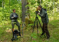 Zwei Mitarbeiter der LWF bei Messarbeiten in einem Wald.