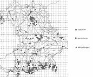 Umrisskarte von Bayern mit Raster. Die natürlichen Vorkommen sind mit einen Quadrat, die synanthropen Vorkommen mit einem Kreis und die eingebürgerten Vorkommen mit einem Dreieck gekennzeichnet. 