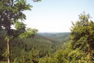 Ausblick über ein bewaldetes Tal