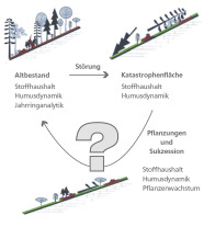 Die Grafik beschreibt skizzenhaft die Projektkonzeption von SicALP. Weitere Informationen finden Sie im Text.