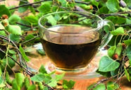 Tasse aus Glas mit moosgrünem Tee, umgeben von Birkenzweigen und Birkenblättern.
