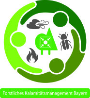 Logo Forstliches Kalamitätsmanagement Bayern