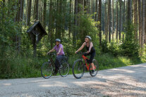 Zwei Radfahrer fahren auf einem Waldweg bei Sonnenschein durch einen Wald (© Robert Götzfried).