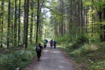 Spaziergänger auf einem Waldweg