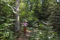 Die Revierleiterin stützt sich mit einer Hand an einem Baum ab und begutachtet den Wald