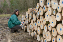 Eine Frau hockt neben einem Holzpolter und misst diesen mit dem Meterstab aus