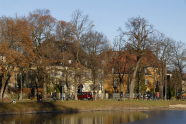 Herbstlicher Kanal mit Bäumen in einer Stadt.