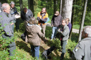Mitarbeiter der Bayerischen Forstverwaltung und einige Personen stehen im Wald und diskutieren.