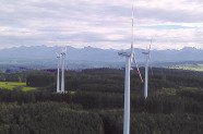 Windräder im Wald