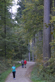 Waldweg im Nadelwald, auf welchem eine junge Frau Ausdauerlauf betreibt und im Hintergrund ein älteres Paar mit einem Hund spazieren geht.