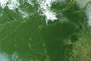 Satellitenaufnahme eines Waldgebiets