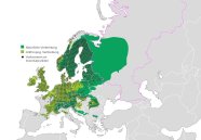 Karte von europa mit grün eingezeichneter Verbreitung der Fichte und schwarzen Punkten, wo Fichte an Inventurpunkten vorkommt.