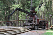 Lkw mit Aufbau entrindet langes Fichtenstammholz auf einer Waldstraße.