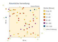 Grafik zeigt die räumliche Verteilung der Fichten mit Pronymphendichte. Weiter Informationen siehe Text.