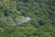 Hubschrauber begiftet Laubwald gegen Schwammspinner.